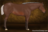 Horse Color:Silver Brown 