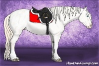 Horse Color:Perlino Dun Blanket 