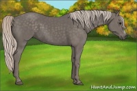 Horse Color:Silver Black Frame 