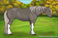 Horse Color:Silver Black Tobiano Rabicano 