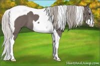 Horse Color:Silver Black Splash Tobiano 