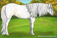 Horse Color:Silver Buckskin Pearl Dun Sabino Splash Tobiano 
