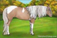 Horse Color:Silver Black Pearl Sabino Tobiano 