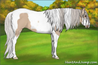 Horse Color:Silver Bay Dun Sabino Tobiano 
