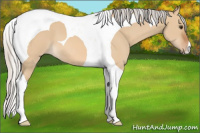 Horse Color:Silver Bay Dun Tobiano