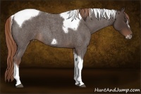 Horse Color:Liver Red Roan Tobiano Frame 