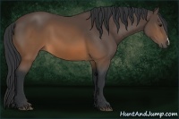Horse Color:Brown 