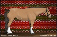 Horse Color:Bay Splash Frame