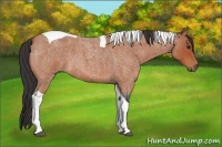 Horse Color:Bay Roan Tobiano 