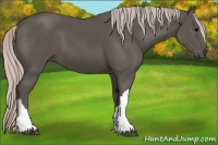 Horse Color:Silver Black 