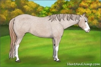 Horse Color:Chestnut Splash Varnish 