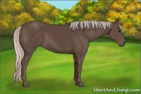 Horse Color:Silver Black 