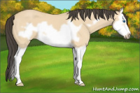 Horse Color:Buckskin Dun Splash Frame 