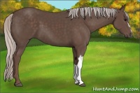 Horse Color:Silver Black 