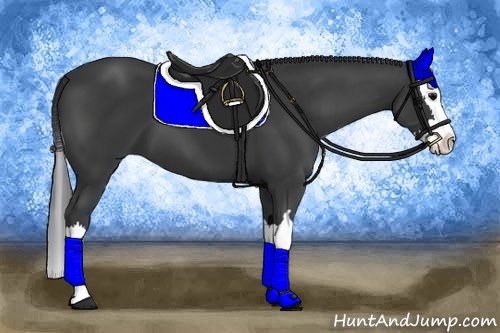 Horse Color:Black Splash
