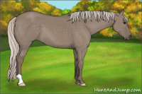Horse Color:Silver Grullo