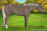 Horse Color:Silver Black 