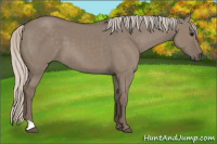 Horse Color:Silver Grullo 
