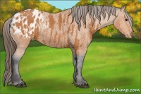 Horse Color:Bay Splash Tobiano Blanket  Brindle