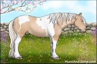 Horse Color:Silver Buckskin Pearl Tobiano 