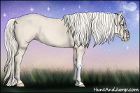 Horse Color:Cremello 