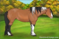 Horse Color:Bay Splash Tobiano 
