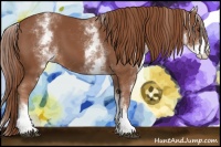Horse Color:White Spotted Chestnut Sabino 