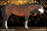 Horse Color:Bay Sabino 