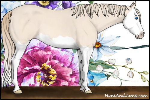 Horse Color: Perlino Splash 