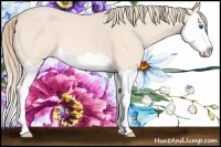 Horse Color:Perlino Splash