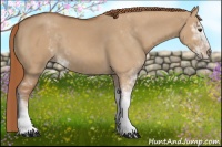 Horse Color:Red Dun Sabino