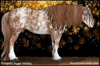 Horse Color:White Spotted Chestnut Sabino 
