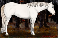 Horse Color:Perlino Dun 