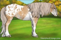 Horse Color:Palomino Sabino Blanket 