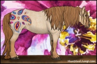 Horse Color:Red Dun Roan 