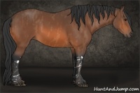 Horse Color:Bay  Brindle