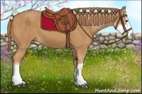 Horse Color:Chestnut Sabino