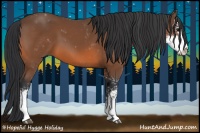 Horse Color:Bay Sabino 