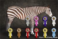 Horse Color:Bay Roan Splash 