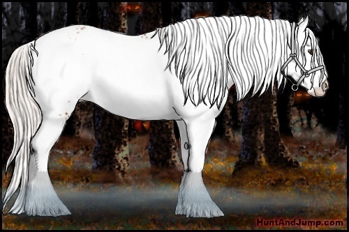 Horse Color:White Spotted Silver Bay Ice Appaloosa
