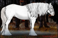 Horse Color:White Spotted Silver Bay Ice Appaloosa 