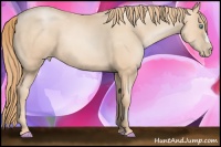 Horse Color:Gold Champagne Pearl 