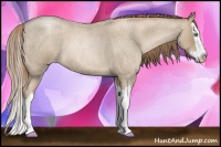Horse Color:Smoky Blue Roan Pearl Splash 