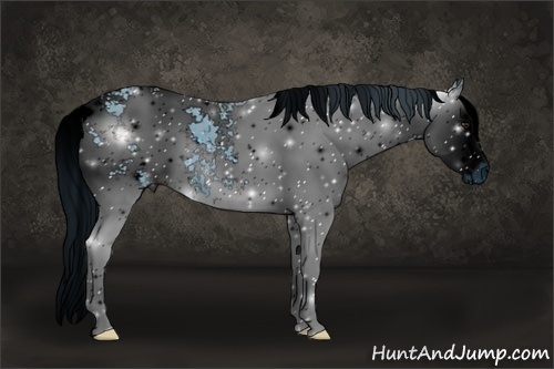 Horse Color: ERROR: UNKNOWN ANOMALY