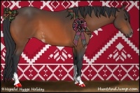 Horse Color:Bay Sabino 