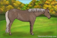 Horse Color:Silver Black 