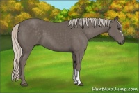 Horse Color:Silver Black 