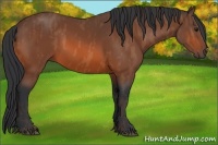 Horse Color:Bay  Brindle