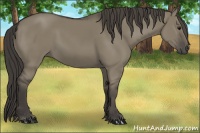 Horse Color:Smoky Grullo 