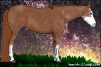Horse Color:Chestnut Sabino 